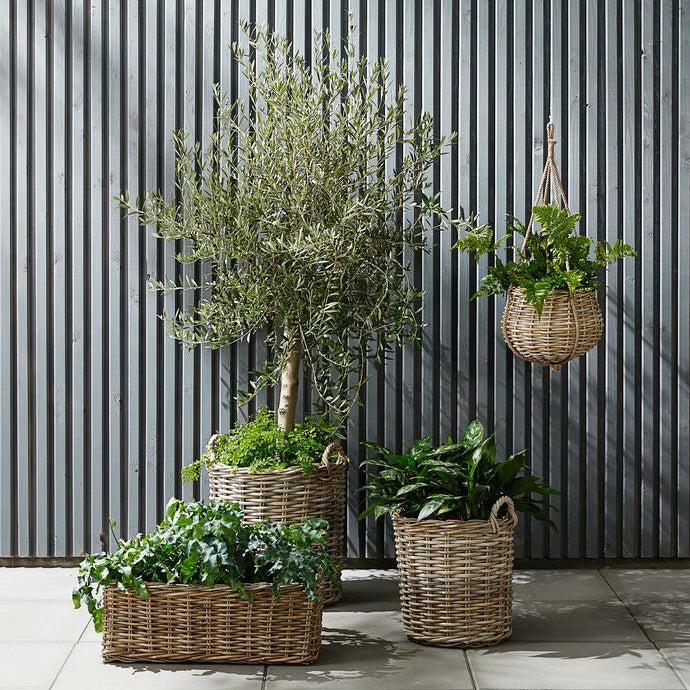 Rattan Hanging Pot