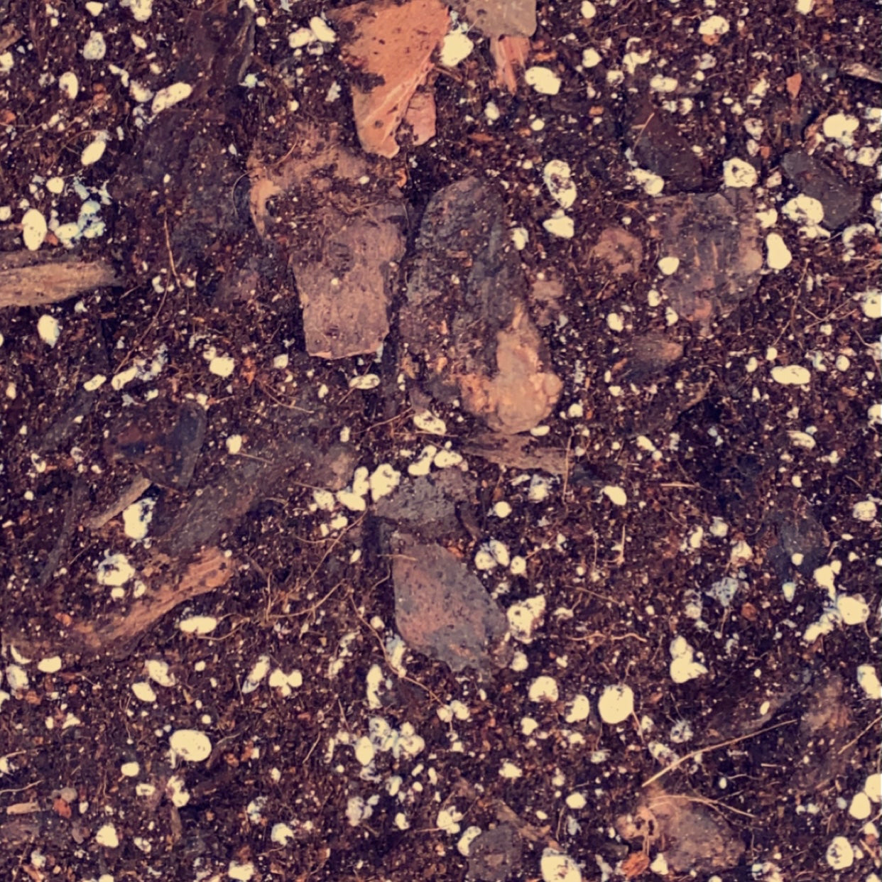 Soil Mix B - Aroid / Fast Drainage