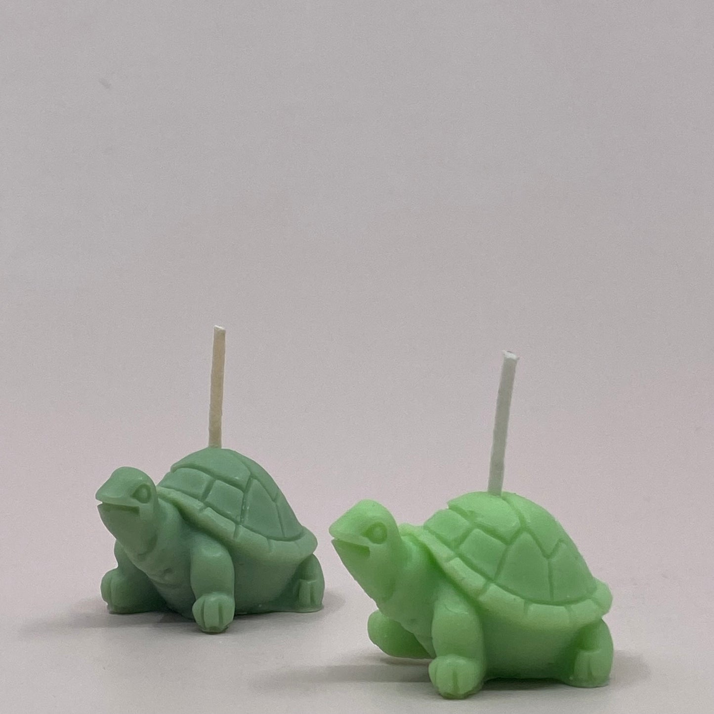 Mini Turtler's Soy Wax Candle - 2Pcs