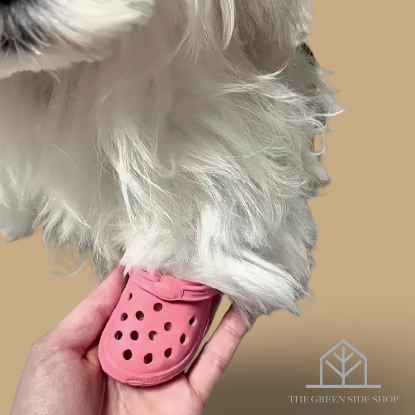 Pet Breathable And Comfortable Cat Shoes