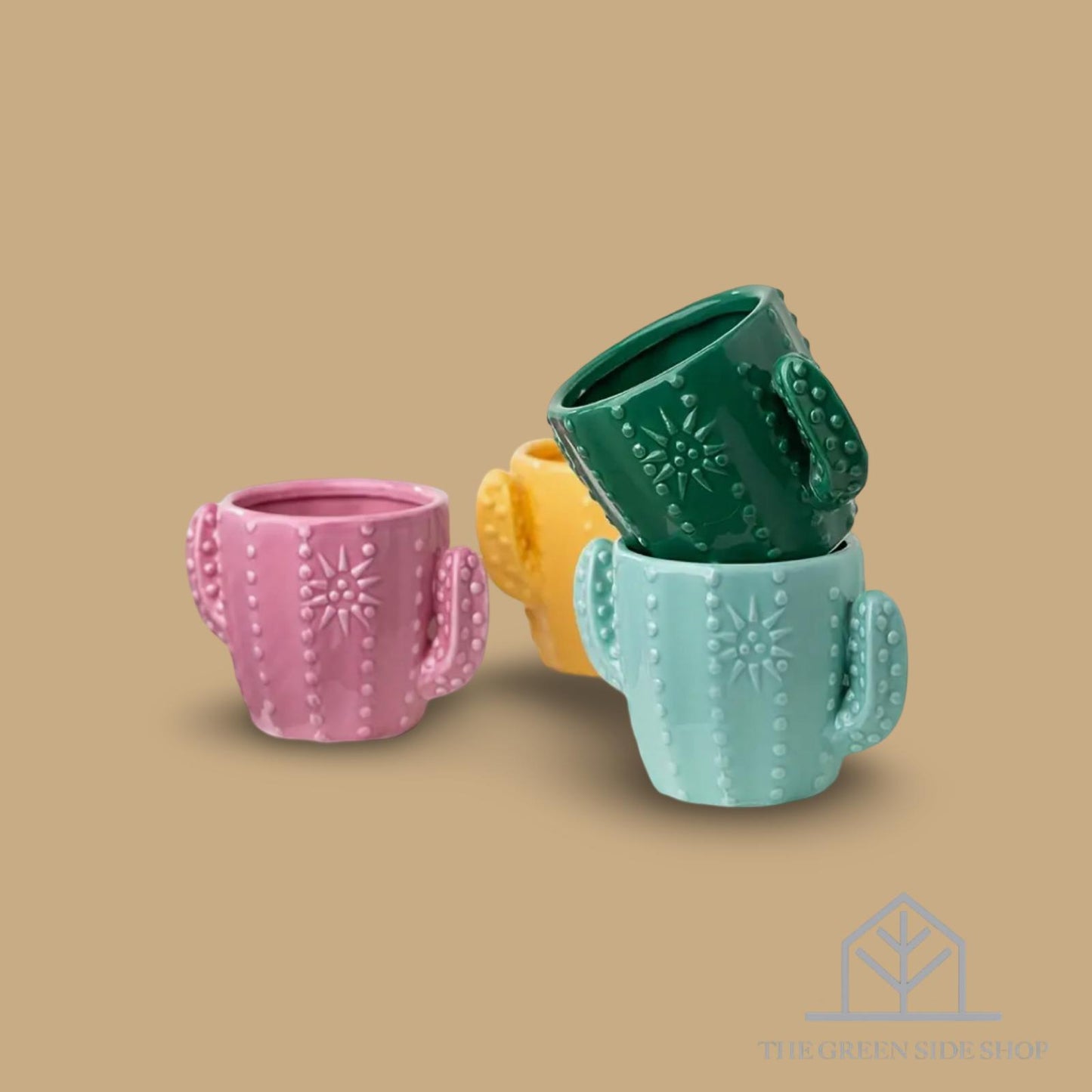 Ceramic Cactus Plant Pot - 1 Pc