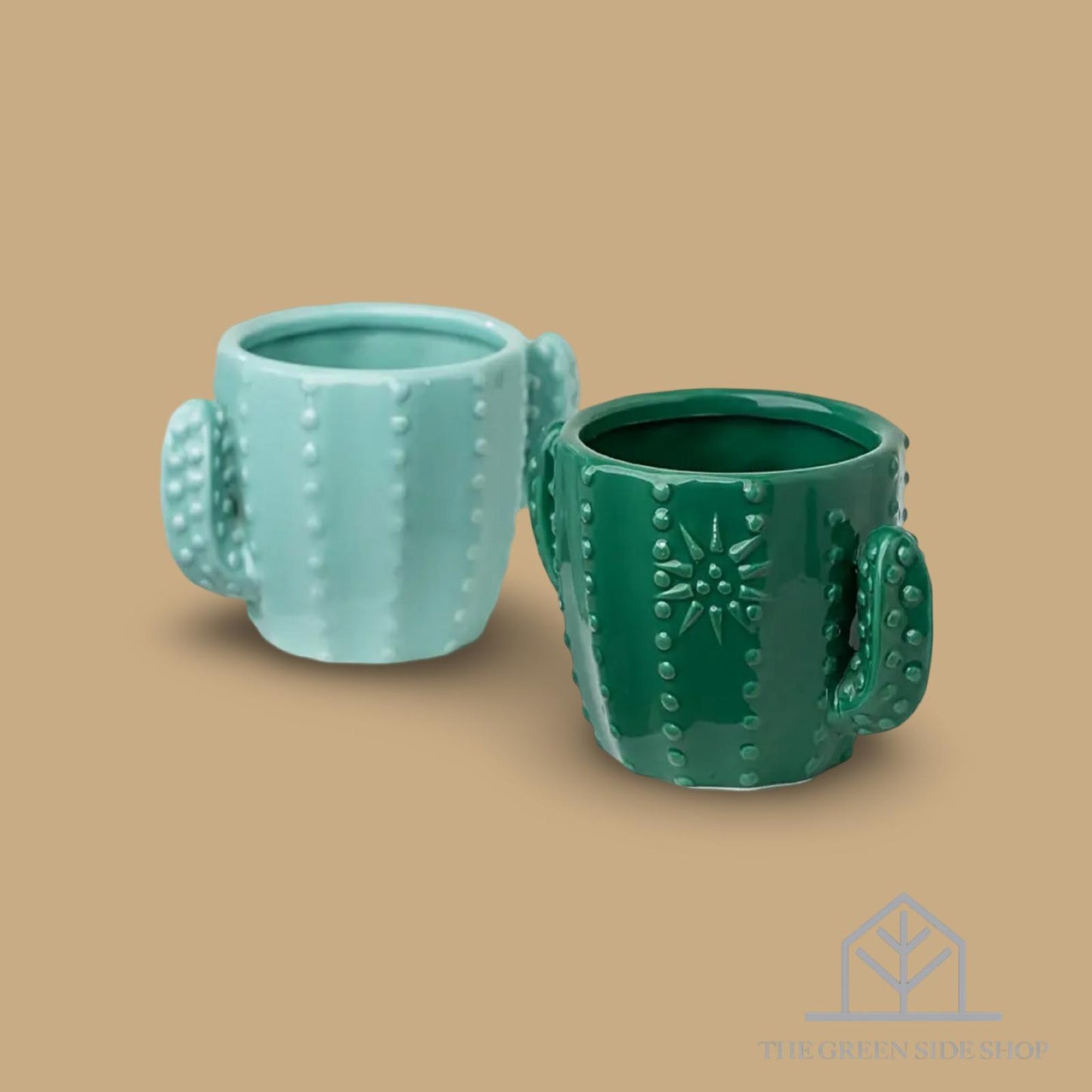 Ceramic Cactus Plant Pot - 1 Pc