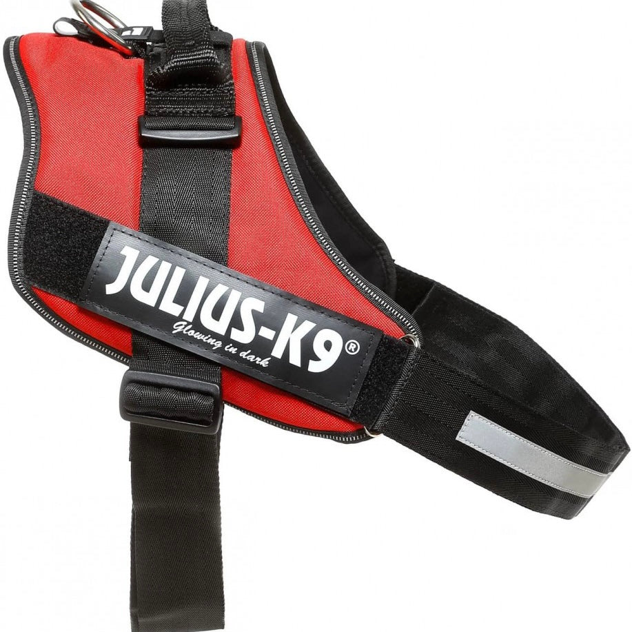 Julius-K9 IDC® Power Harness