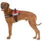 Julius-K9 IDC® Power Harness