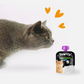 Cats Yogurt Prebiotics