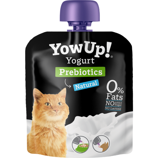 Cats Yogurt Prebiotics