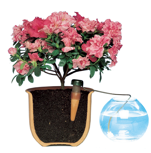 Blumat Classic (Junior) Automatic Plant Watering System Small 3-Pack