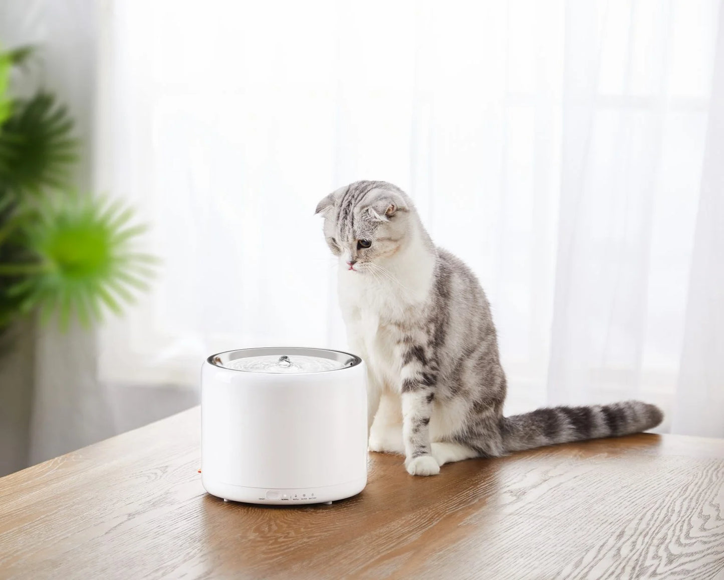 PetKit Smart Water Fountain 3