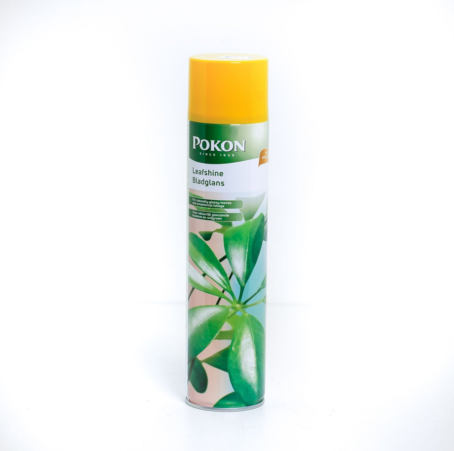 Pokon Leafshine Spray