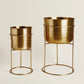Gold Planter