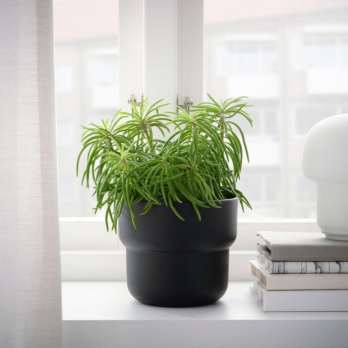 Soft Curve Plant Pot