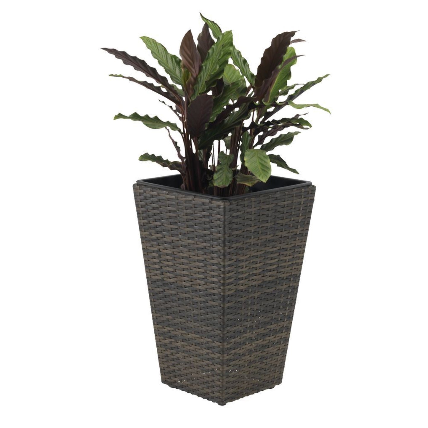 Galvanised Assorted Planters