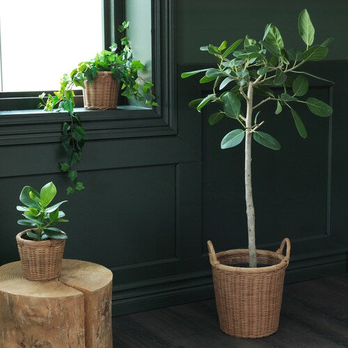 Rattan Plant Pot