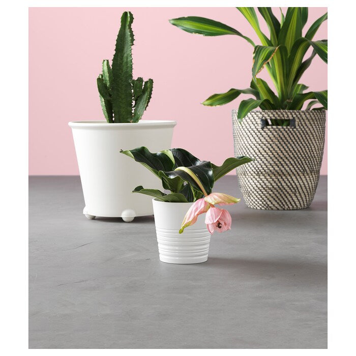 Basic White Plant Pot