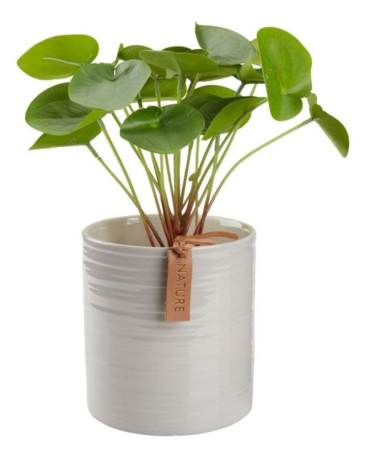 Beig Glossed Plant Pot