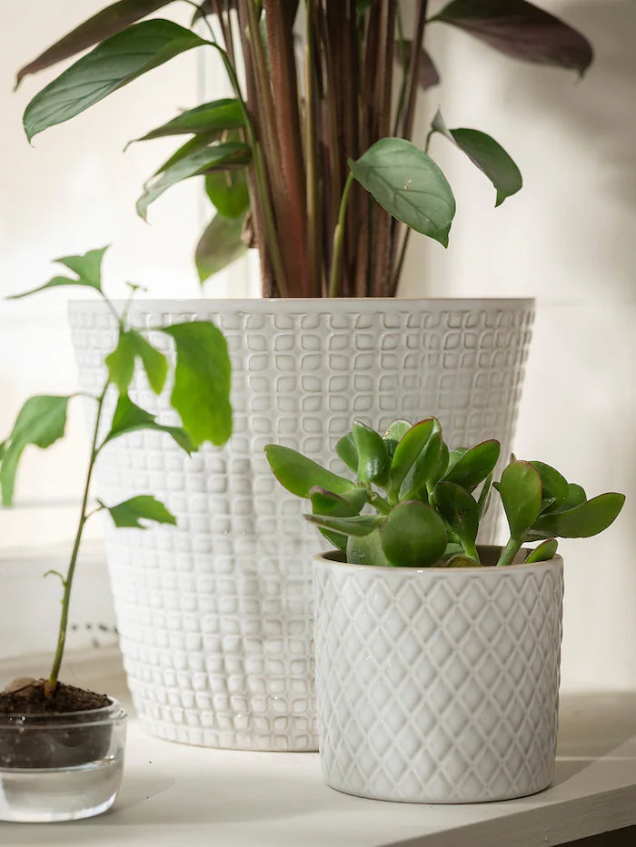 Textured Glazed Plant Pot