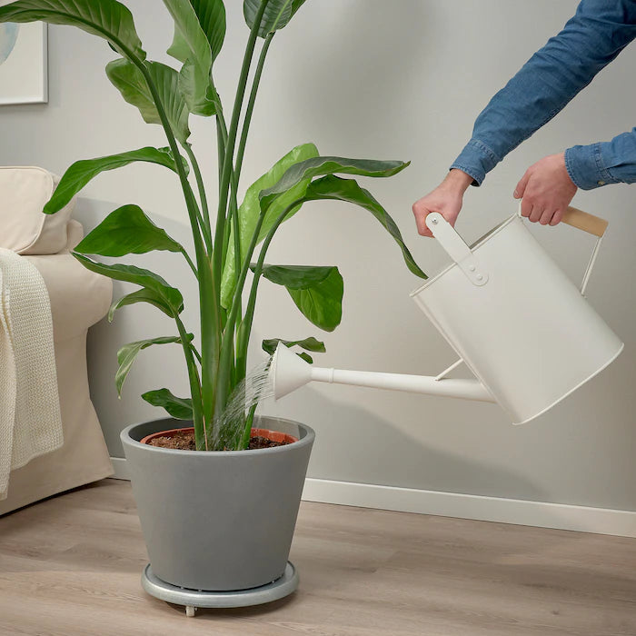 White Steel Watering Can