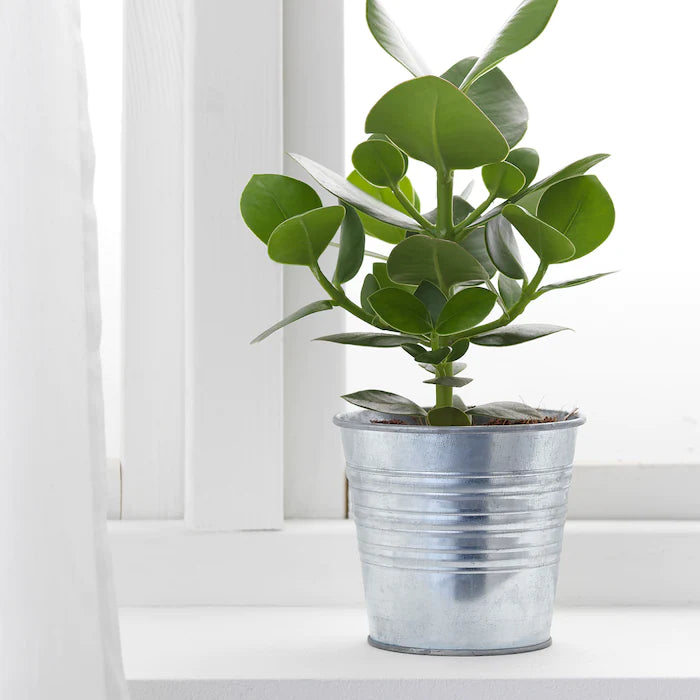 Textured Classic Steel Plant Pot