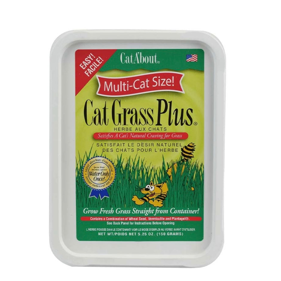 Cat Grass