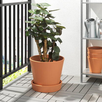 Basic Terracotta Plant Pot