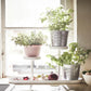 White Steel Pot Stand