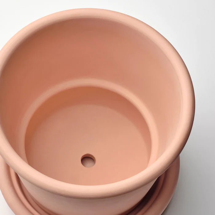 Light Basic Terracotta