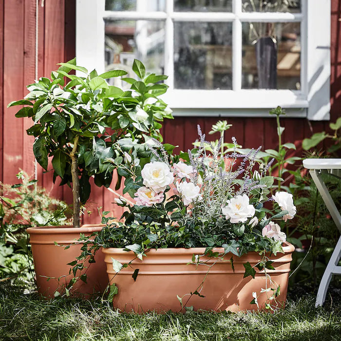 Ringed Terracotta Plant Pot