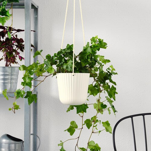 White Hanging Basket