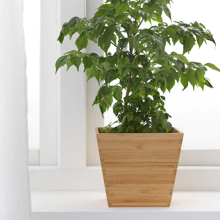 Square Natural Bamboo Plant Pot