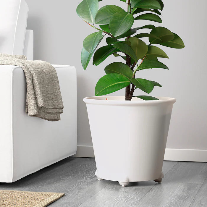 Self-Watering Plant Pot