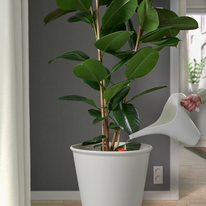 Self-Watering Plant Pot