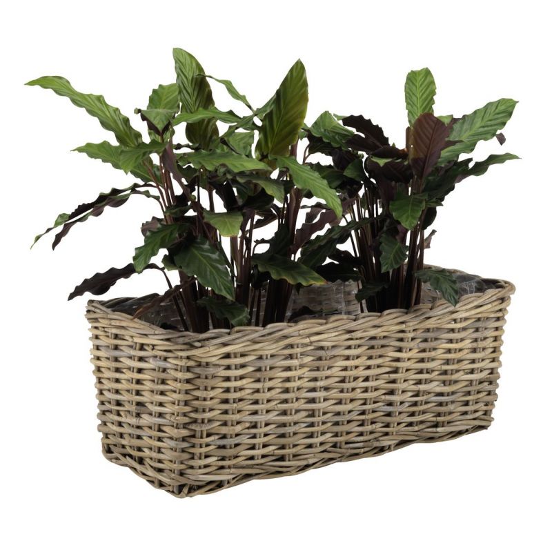 Rattan Long Box Planter