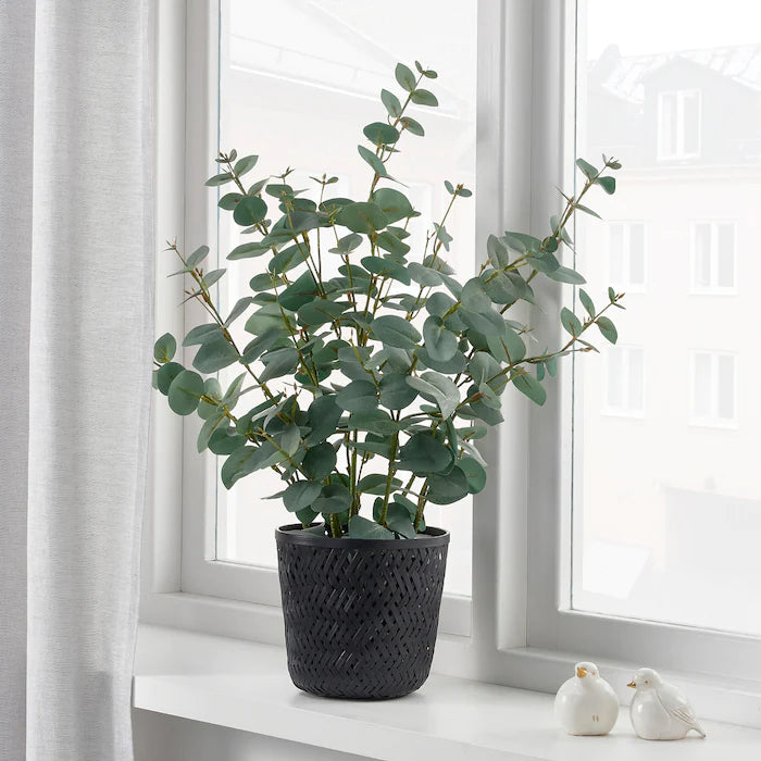 Black Bamboo Plant Pot