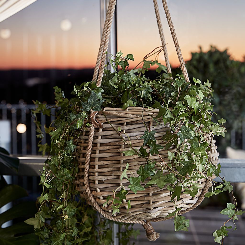 Rattan Hanging Pot