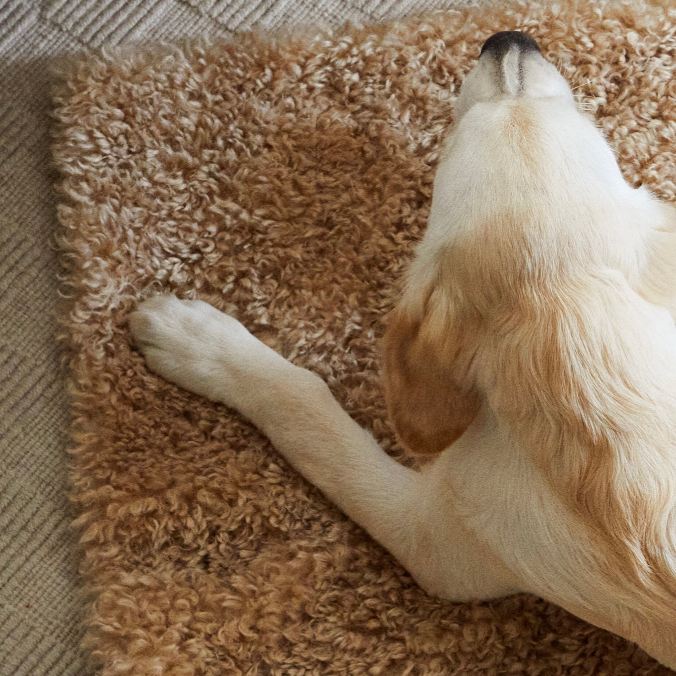 Double Faced Faux Pet Blanket