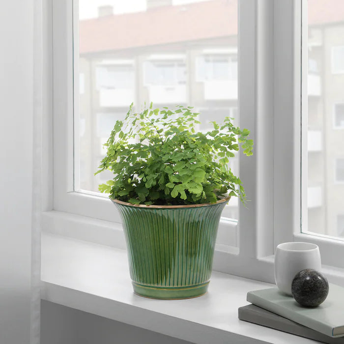 Grass Green Plant Pot