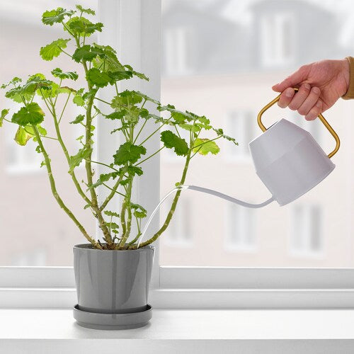 Small Grey Watering Can