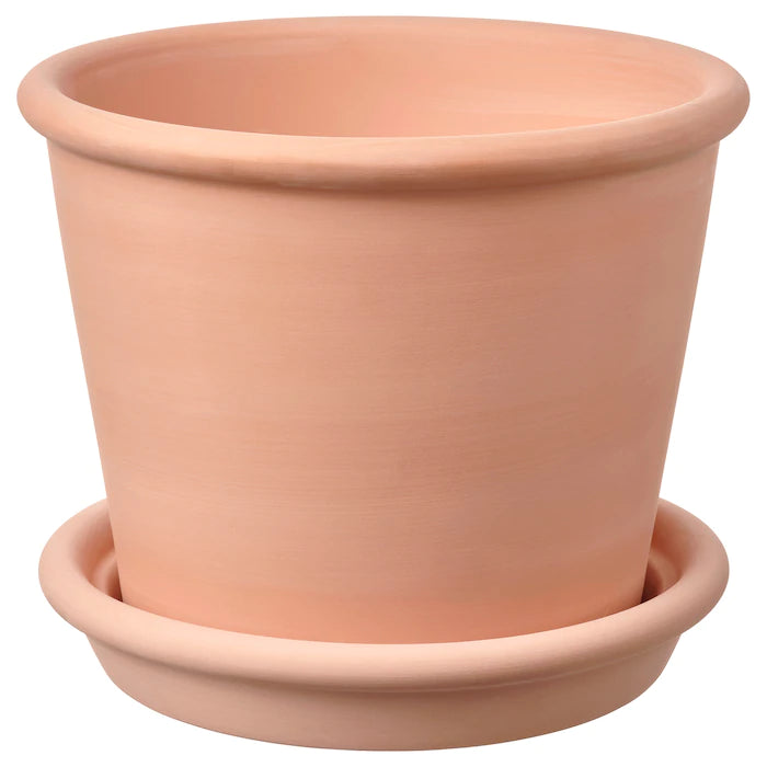 Light Basic Terracotta