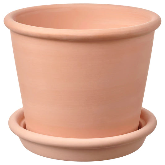 Light Basic Terracotta