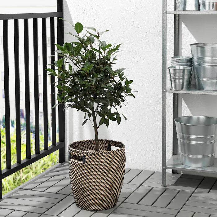 Handmade Wicker Plant Pot